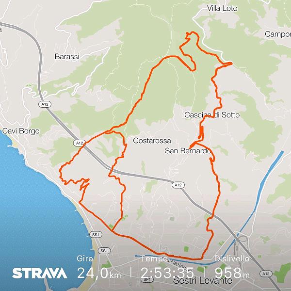 strava6691921310746722707.jpg